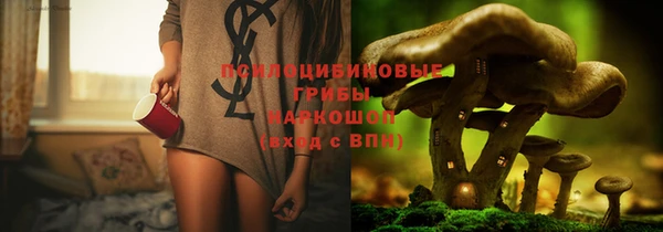 амф Алексин