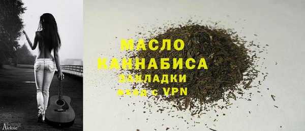 дмт Абаза