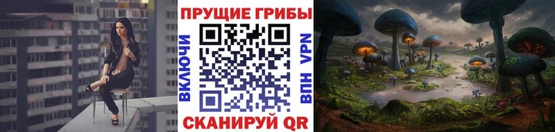 наркотики  Новое Девяткино  Галлюциногенные грибы прущие грибы 